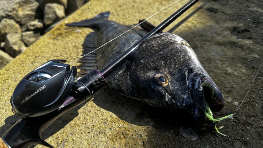 向いている釣り｜25アルデバランDC,インプレ