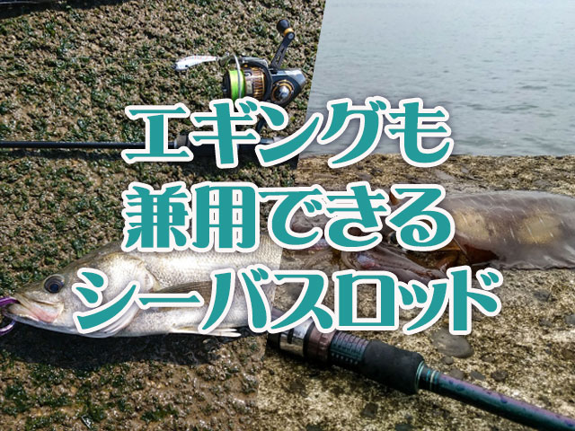 エギングも兼用できるシーバスロッド