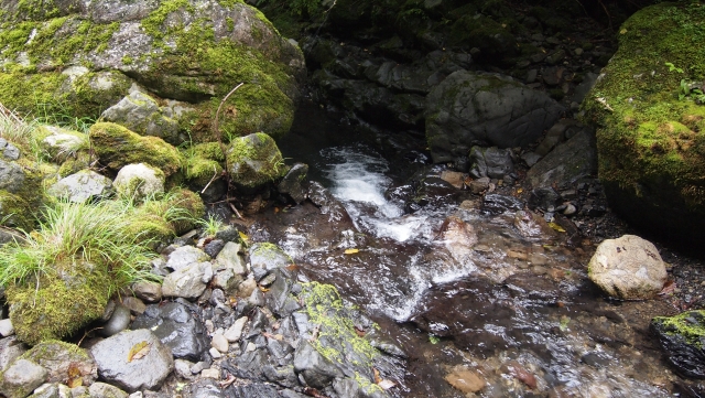 川虫の採取方法｜渓流,エサ釣り,付け方,仕掛け,誘い方