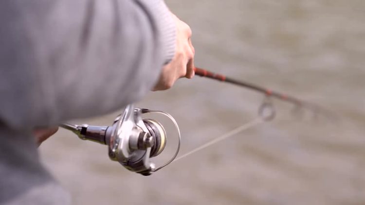 使い道|シーバス,ナイロン, 何号,太さ,直結,おすすめ