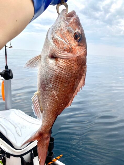 浅目の水深もタイラバ向き｜タイラバ,瀬戸内海ポ,イント,大鯛