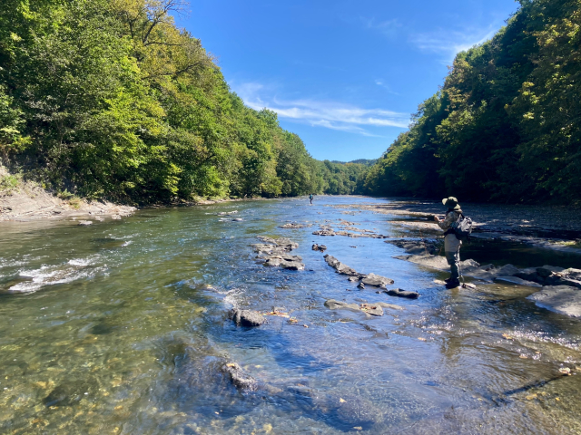 釣れる一級ポイント｜ヤマメ,生態,習性,食性,攻略法