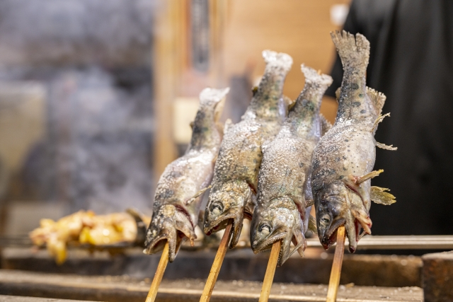 釣れる時期と旬｜ヤマメ,生態,習性,食性,攻略法