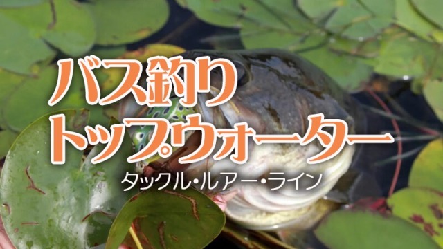 バス釣り,トップウォーター,攻略,タックル,おすすめルアー