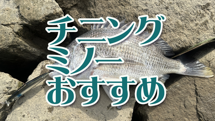 チニング,ミノー,おすすめルアー,プラッキング