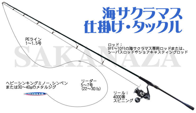 海サクラマス仕掛け・タックル図解