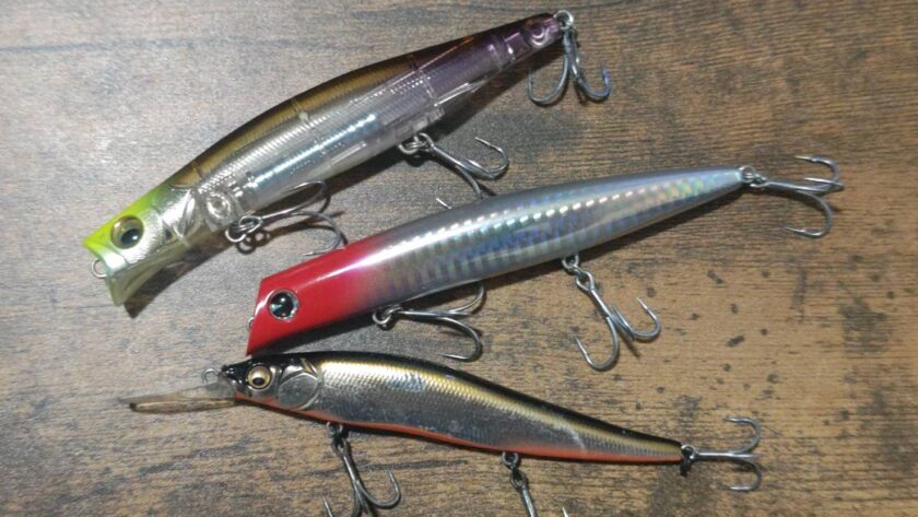 シーバス,ミノー,使い方,種類