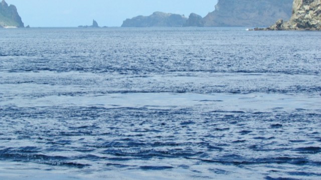 釣れる潮｜ショアジギング,釣り方