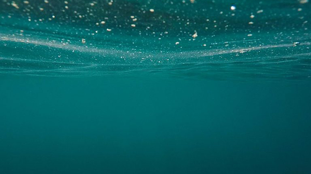 水中がイメージできていない｜タイラバ,釣れない,解決方法