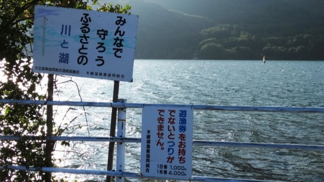 禁止期間（禁漁期）とルール｜サクラマス,時期,禁止