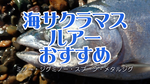 海サクラマス,ルアー,ミノー,スプーン,メタルジグ,おすすめ
