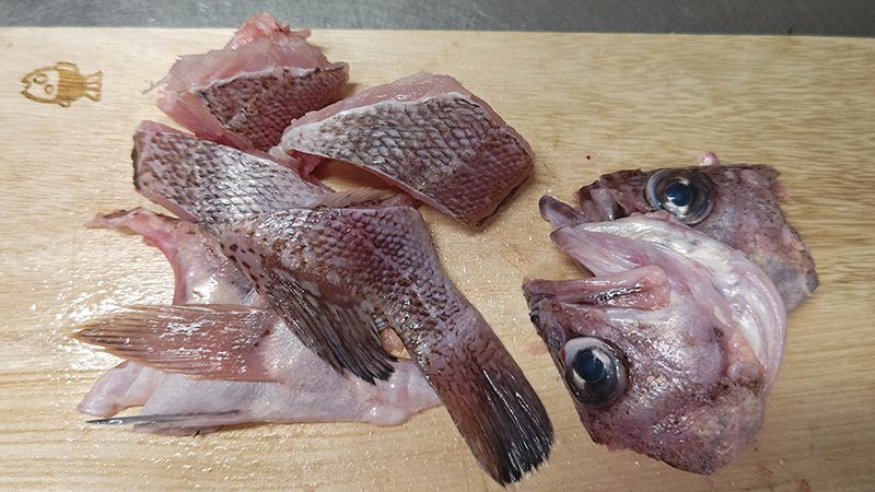 魚をカット｜キツネメバルのわかめ鍋と炙り刺し,釣果メシ,レシピ