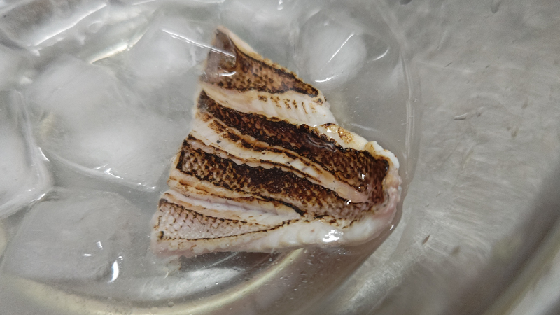 冷ます｜キツネメバルのわかめ鍋と炙り刺し,釣果メシ,レシピ