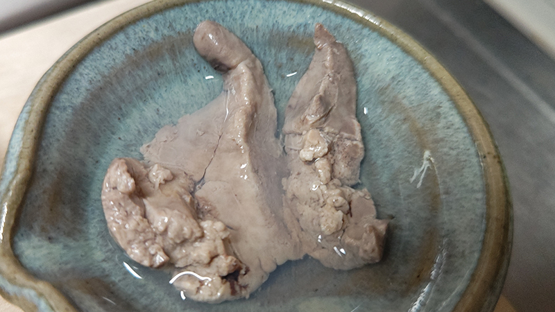 肝を湯がく｜キツネメバルのわかめ鍋と炙り刺し,釣果メシ,レシピ