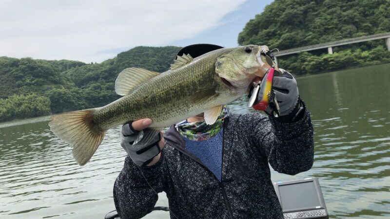 有効な時期|バス釣り,クローラーベイト,おすすめ