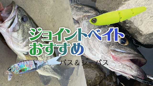 ジョイントベイト,おすすめ,バス釣り,シーバス,選び方