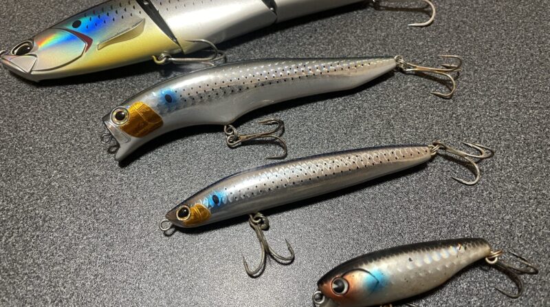 4つの軸|シーバス,ルアー,ローテーション,使い方,種類