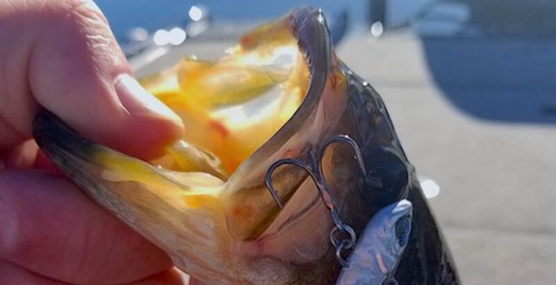 選び方|バス釣り,トレブルフック,おすすめ